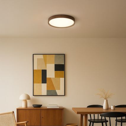 LED griestu lampa FOREST LED/24W/230V pr. 39 cm brūna