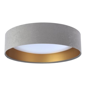LED griestu lampa GALAXY LED/24W/230V Ø 44 cm pelēka/zelta