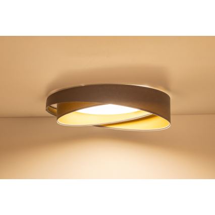 LED griestu lampa GALAXY MODERN LED/24W/230V Ø 55 cm pelēka/zelta