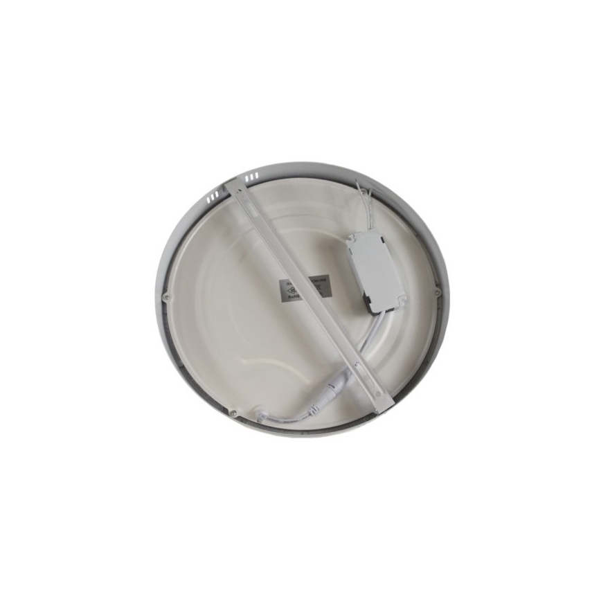 LED Griestu lampa GERRIT LED/24W/230V 6500K balta