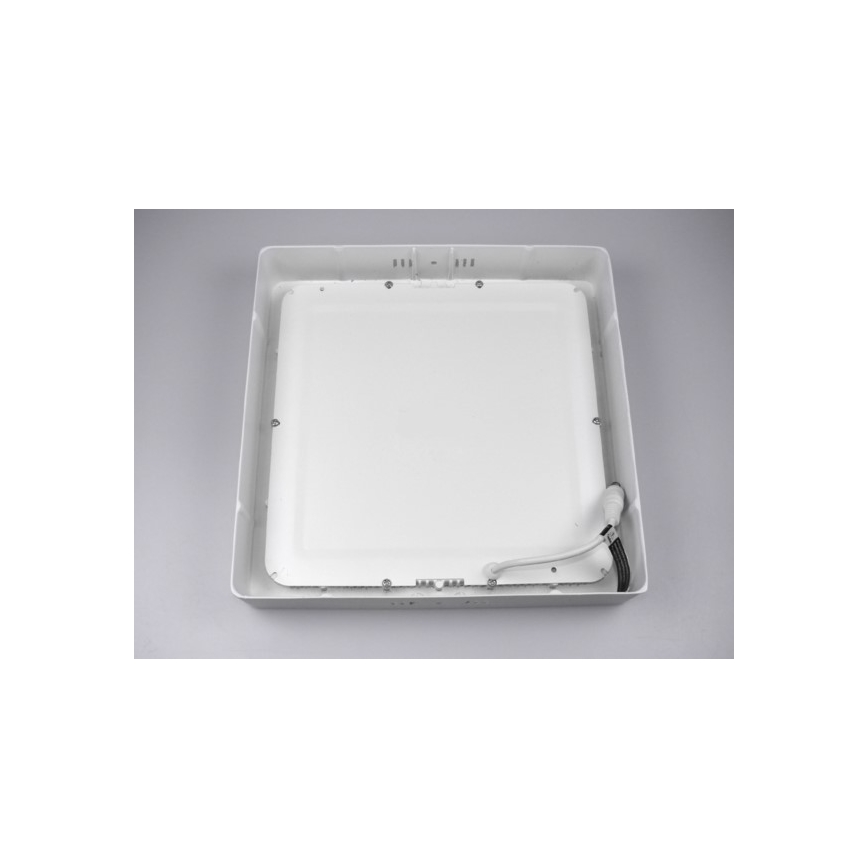 LED Griestu lampa GERRY LED/18W/230V 4000K balta