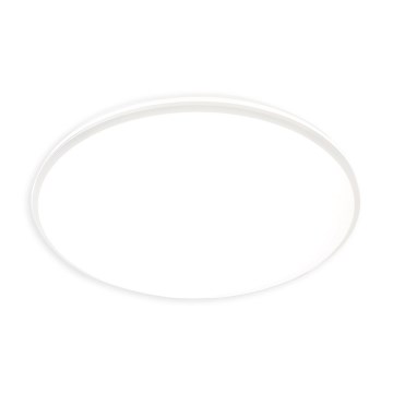 LED griestu lampa HUGO, 16/24/32W, 230V, 3000/4000/6500K, Ø 37 cm, IP54, balta