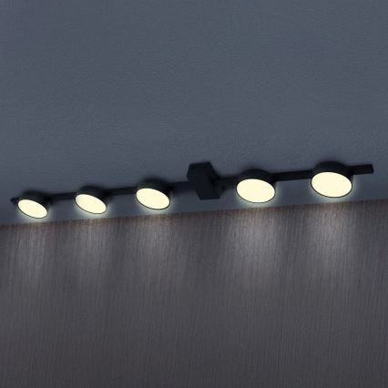 LED Griestu lampa JOY 5xGX53/6W/230V melna