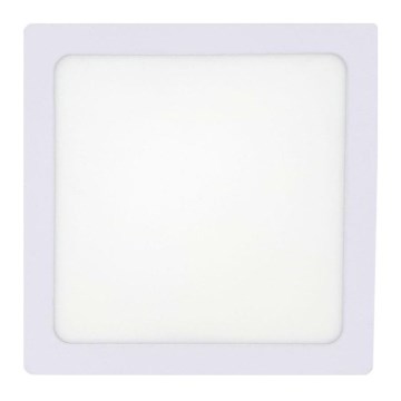 LED Griestu lampa LED/12W/230V 2700K 16,3x16,3 cm balta