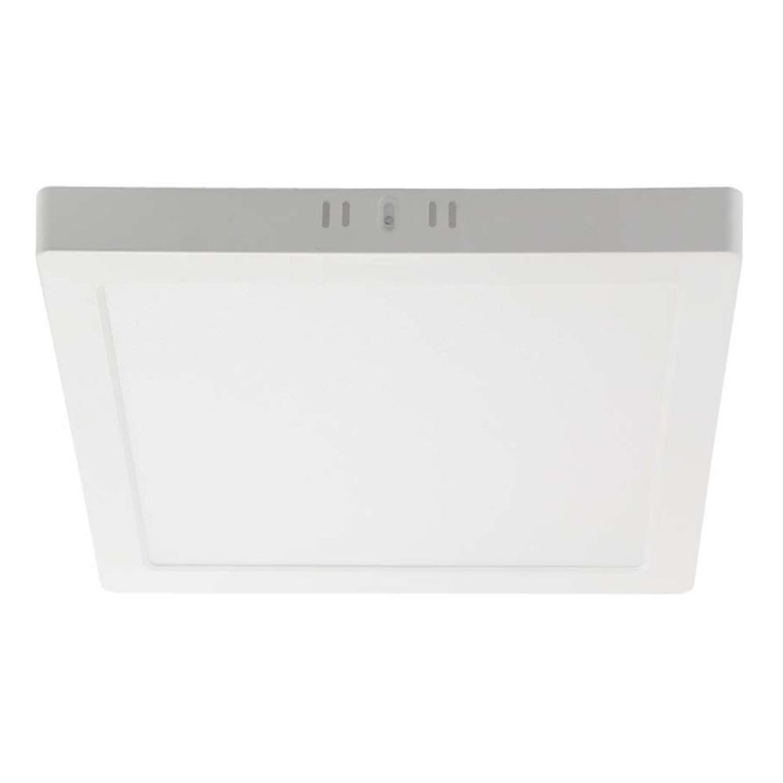 LED Griestu lampa LED/12W/230V 4000K 16,7x16,7 cm balta