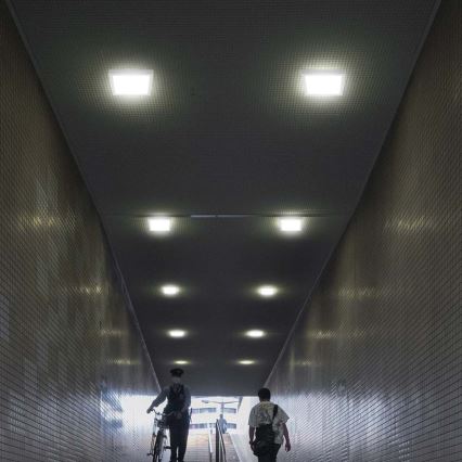 LED Griestu lampa LED/12W/230V 4000K 16,7x16,7 cm balta