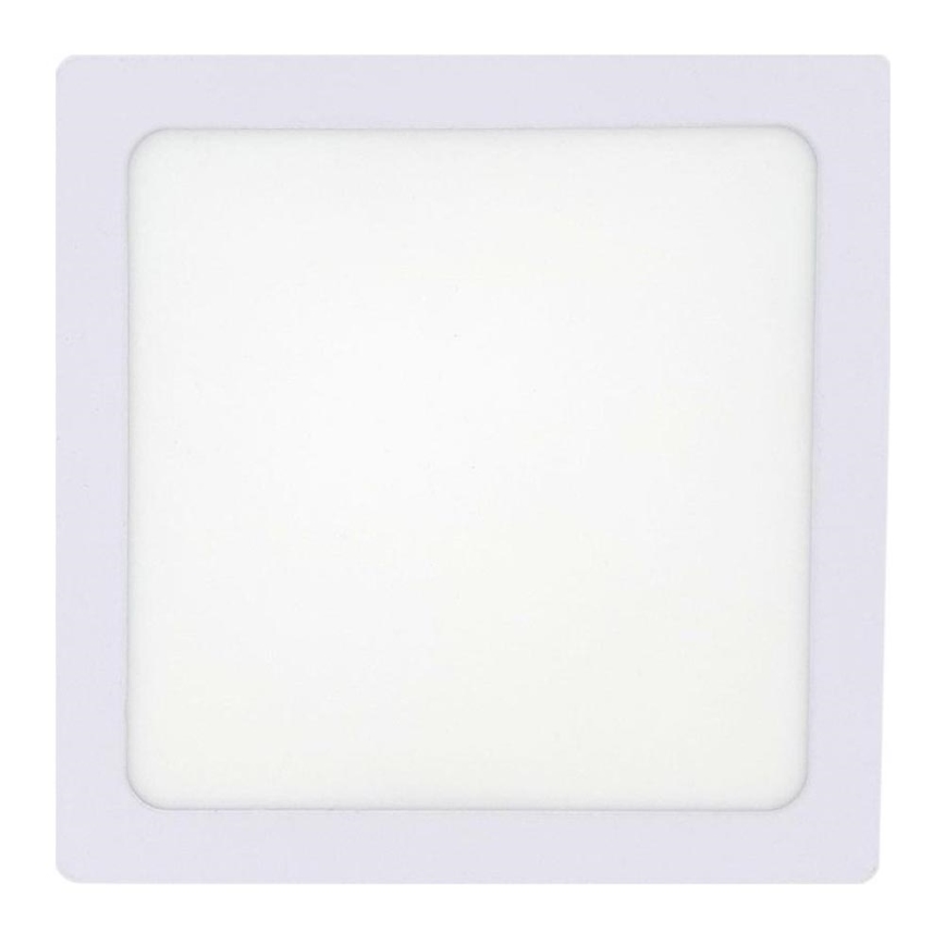 LED Griestu lampa LED/12W/230V 4200K 16,3x16,3 cm balta