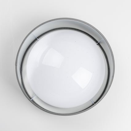 LED griestu lampa LED/12W/230V Ø 32 cm pelēka/sudraba