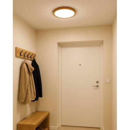 LED griestu lampa LED/18W/230V 3000/4000/6500K Ø 23 cm bēša
