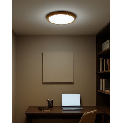 LED griestu lampa LED/18W/230V 3000/4000/6500K Ø 23 cm bēša