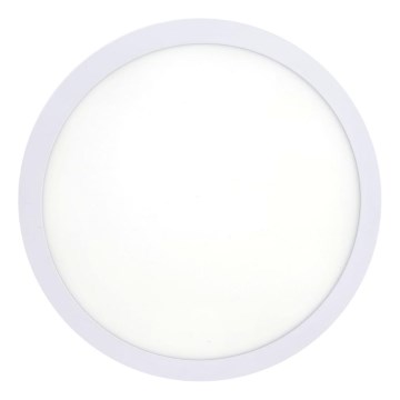 LED Griestu lampa LED/18W/230V 4200K d. 21 cm balta