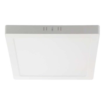 LED Griestu lampa LED/18W/230V 6500K 21,4x21,4 cm balta