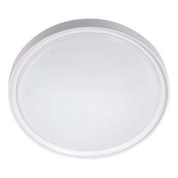 LED Griestu lampa LED/18W/230V d. 30 cm balta