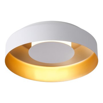 LED Griestu lampa LED/20W/230V 3000K balta