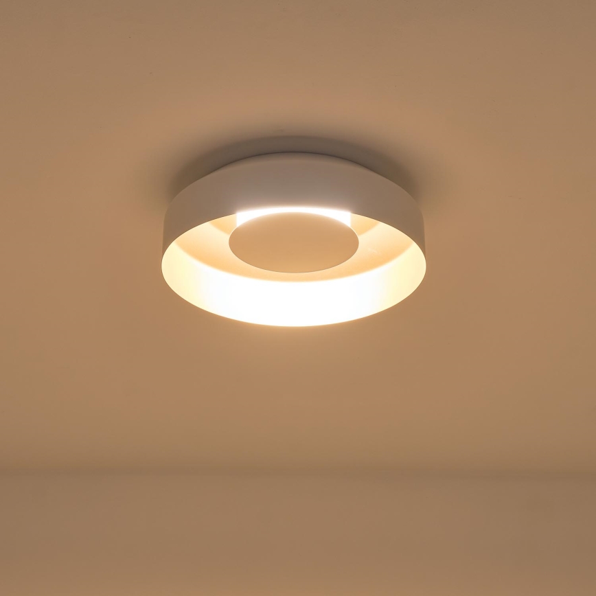 LED Griestu lampa LED/20W/230V 3000K balta