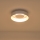 LED Griestu lampa LED/20W/230V 3000K balta
