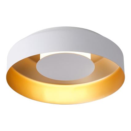 LED Griestu lampa LED/20W/230V 3000K balta