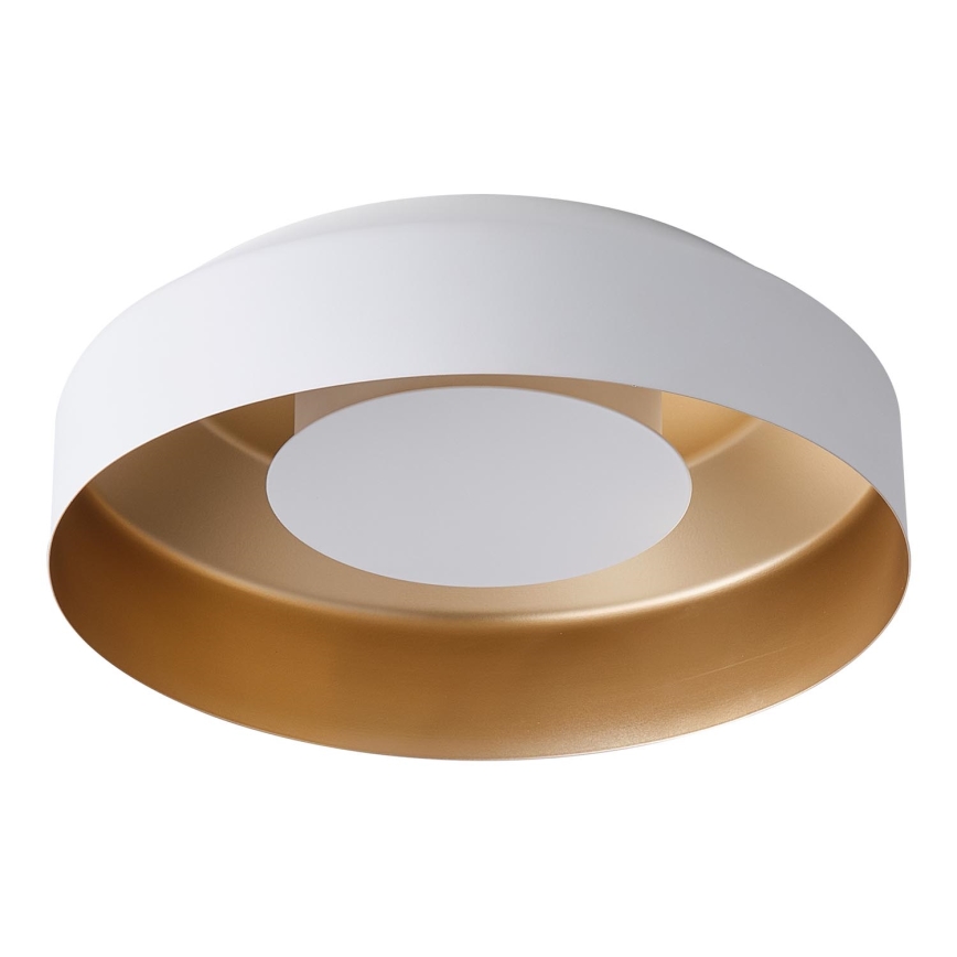LED Griestu lampa LED/20W/230V 3000K balta