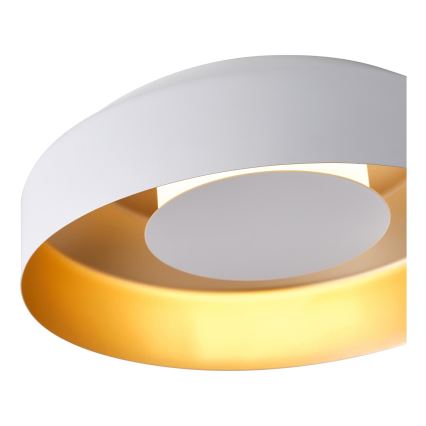 LED Griestu lampa LED/20W/230V 3000K balta