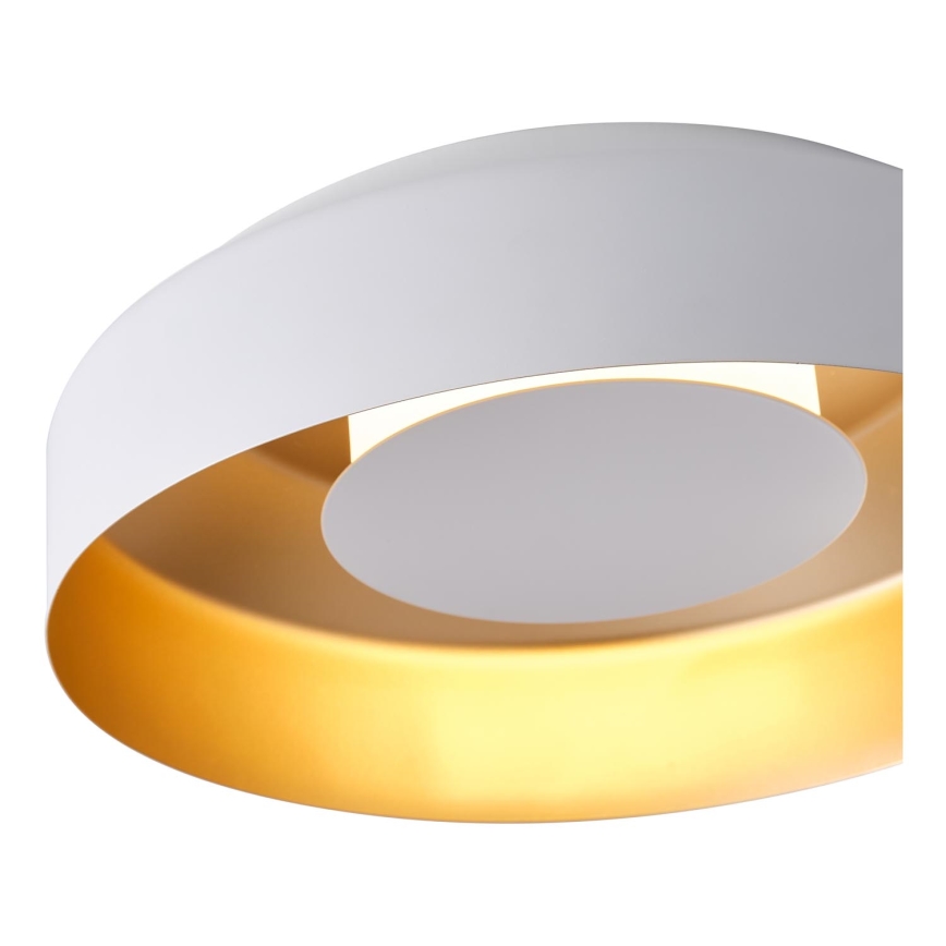 LED Griestu lampa LED/20W/230V 3000K balta