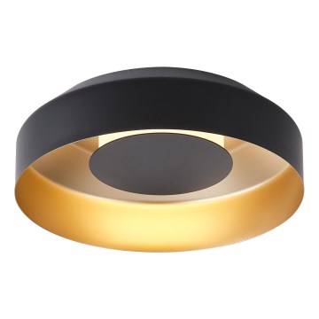 LED Griestu lampa LED/20W/230V 3000K melna