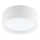 LED Griestu lampa LED/21W/230V priede