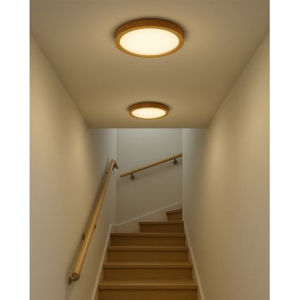 LED griestu lampa LED/24W/230V 3000/4000/6500K Ø 30 cm bēša
