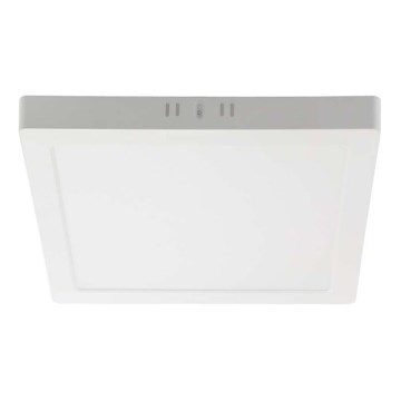 LED Griestu lampa LED/24W/230V 3000K 28,7x28,7 cm balta