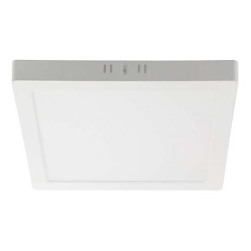 LED Griestu lampa LED/24W/230V 4000K 28,7x28,7 cm balta