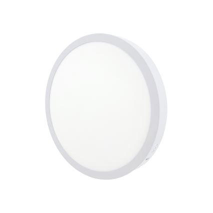LED Griestu lampa LED/24W/230V 4200K d. 28,5 cm balta