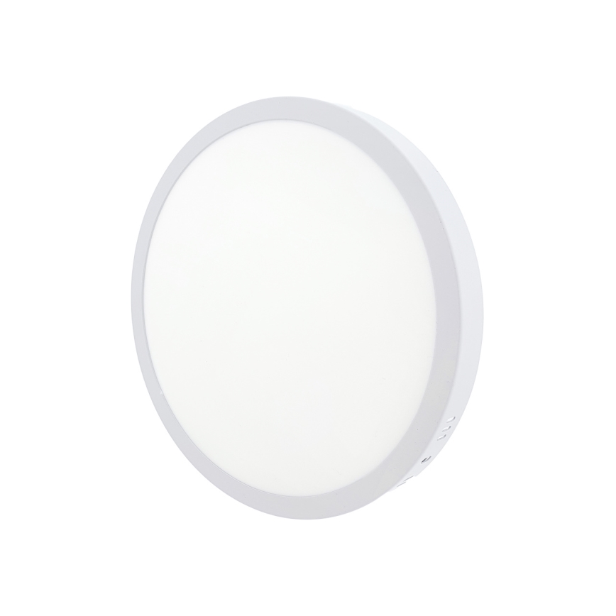 LED Griestu lampa LED/24W/230V 4200K d. 28,5 cm balta