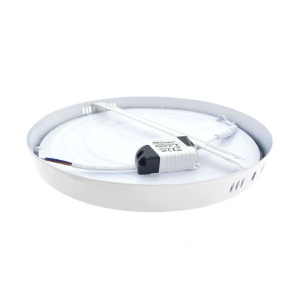 LED Griestu lampa LED/24W/230V 4200K d. 28,5 cm balta