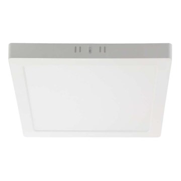 LED Griestu lampa LED/24W/230V 6500K 28,7x28,7 cm balta