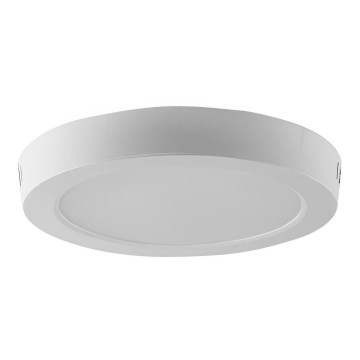 LED Griestu lampa LED/24W/230V 6500K d. 28,8 cm