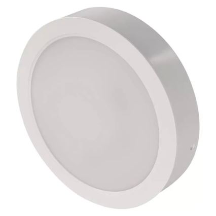 LED Griestu lampa LED/24W/230V d. 22 cm balta