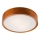 LED griestu lampa LED/24W/230V priede