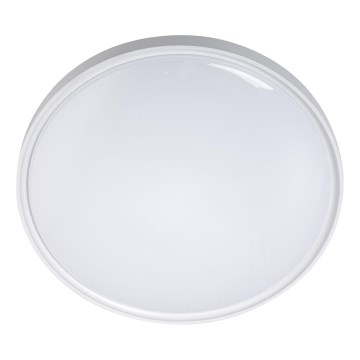 LED Griestu lampa LED/36W/230V d. 40 cm balta