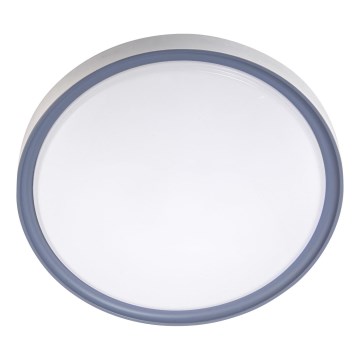 LED Griestu lampa LED/36W/230V d. 40 cm balta/pelēka