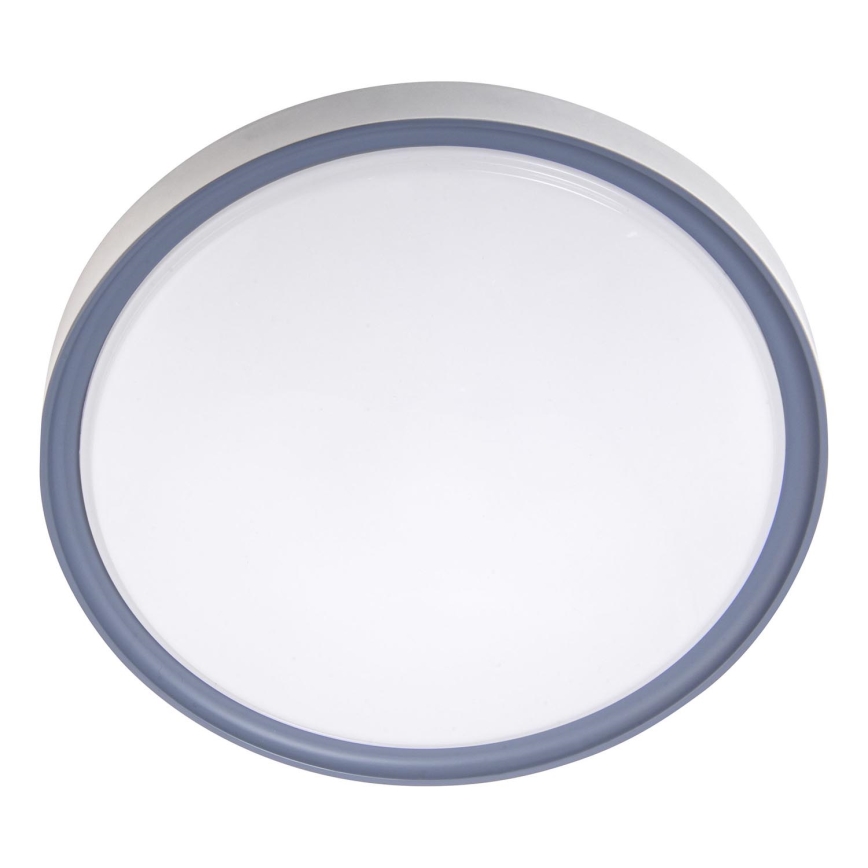LED Griestu lampa LED/36W/230V d. 40 cm balta/pelēka