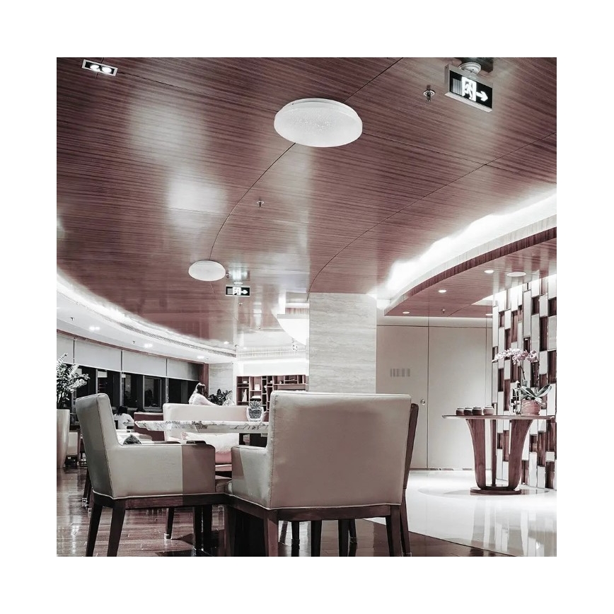 LED Griestu lampa LED/36W/230V d. 50 cm 3000/4000/6400K