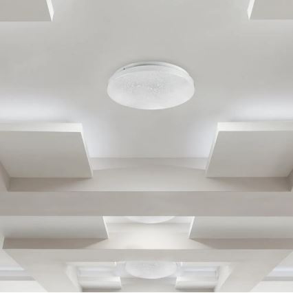 LED Griestu lampa LED/36W/230V d. 50 cm 3000/4000/6400K