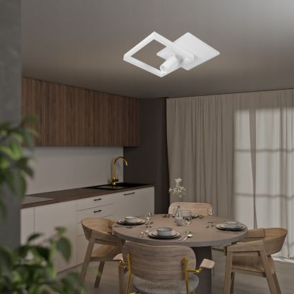 LED griestu lampa LED/38W/230V + 1xGU10/30W balta