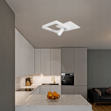 LED griestu lampa LED/38W/230V + 1xGU10/30W balta