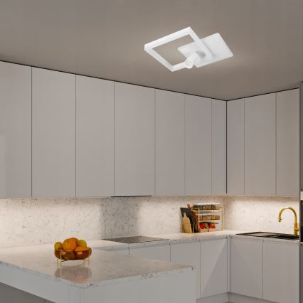 LED griestu lampa LED/38W/230V + 1xGU10/30W balta