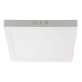 LED Griestu lampa LED/6W/230V 4000K 12x12 cm balta