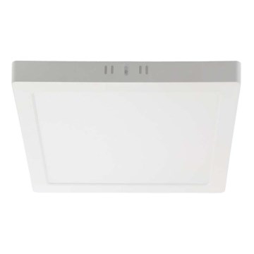 LED Griestu lampa LED/6W/230V 4000K 12x12 cm balta