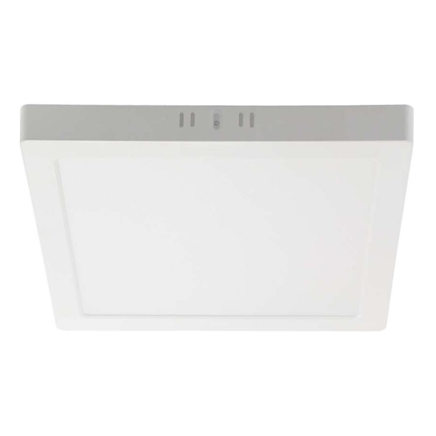 LED Griestu lampa LED/6W/230V 4000K 12x12 cm balta