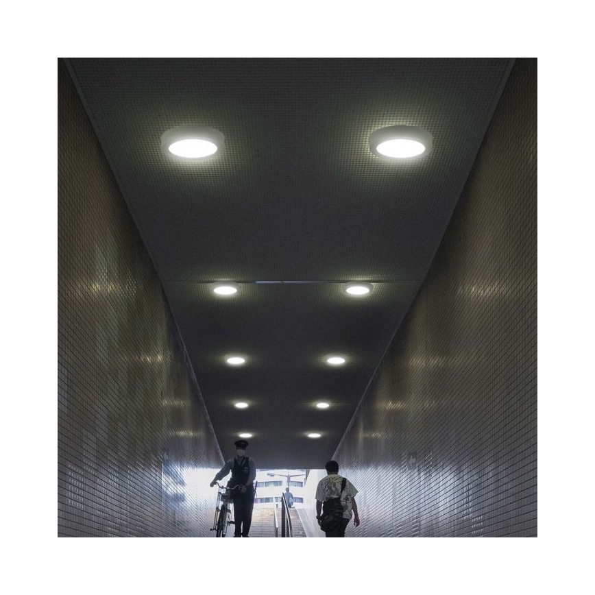 LED Griestu lampa LED/6W/230V 6500K balta