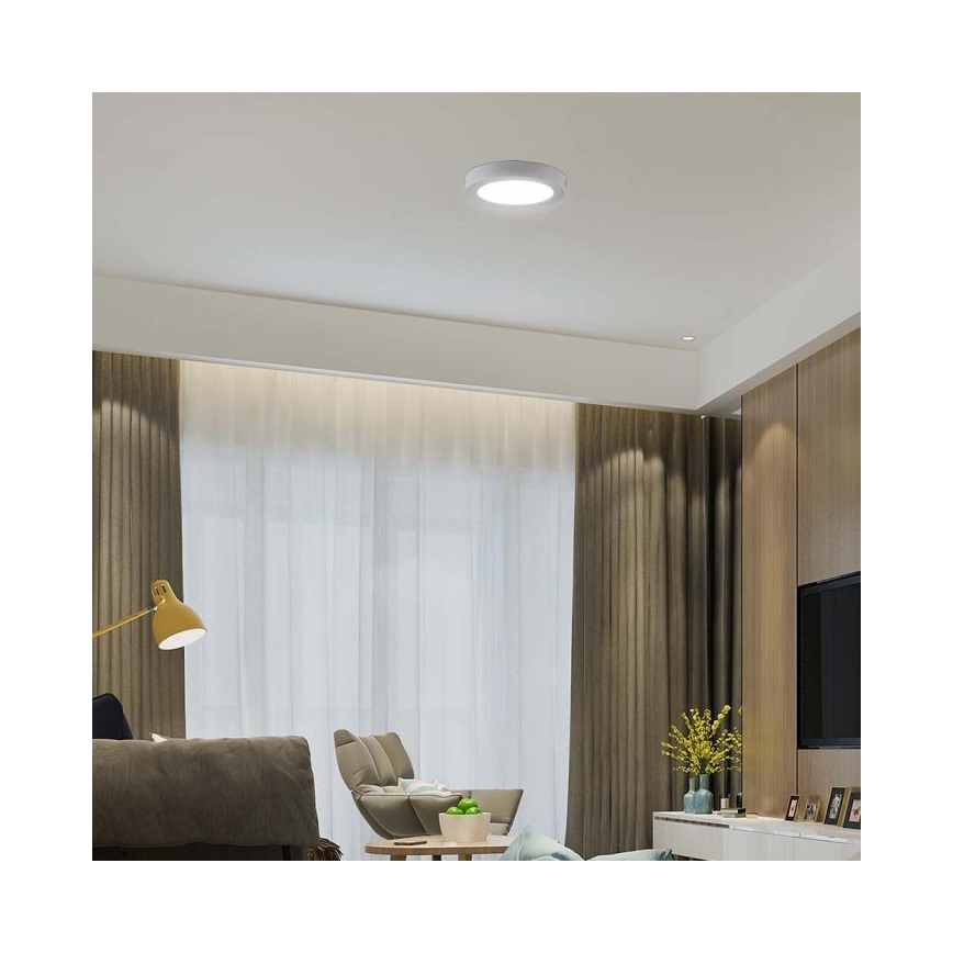 LED Griestu lampa LED/6W/230V 6500K balta