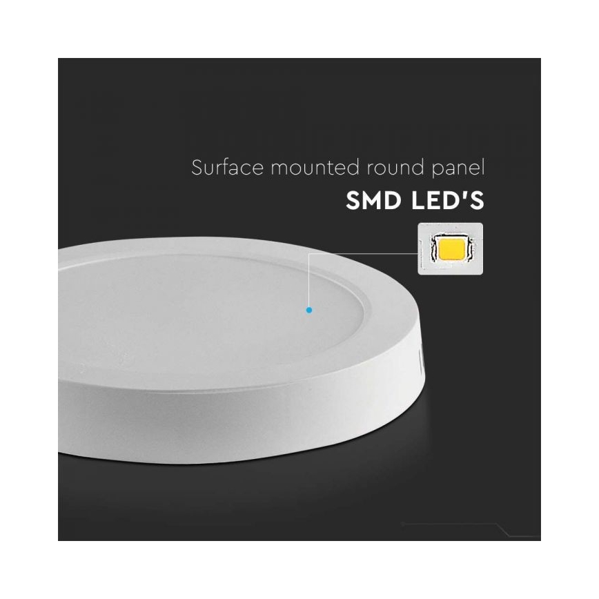 LED Griestu lampa LED/6W/230V 6500K balta